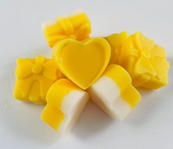 Soya Wax Melts - 25gr